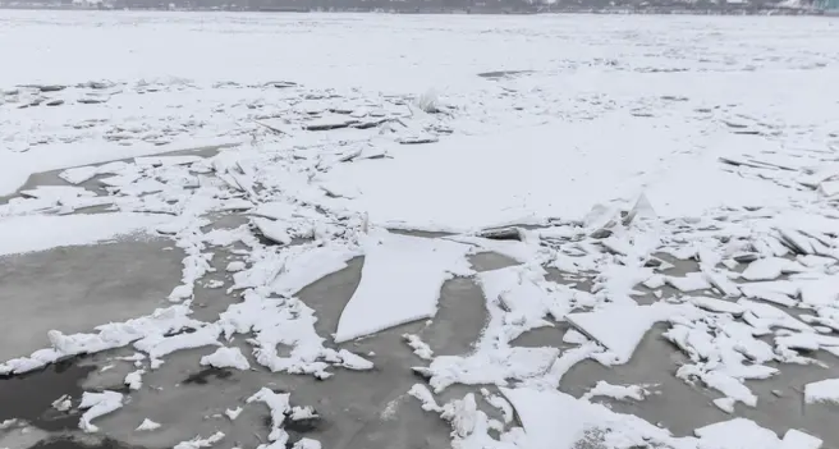    Артем Бауман / 76.RU с сайта n1s1.hsmedia.ru