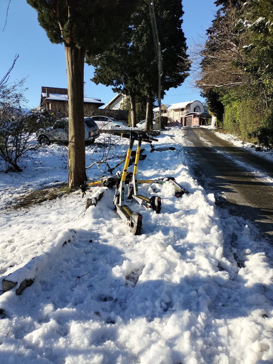 Самокаты сейчас тоже особо не помогут. Улица Альпийская, Сочи, 2 января