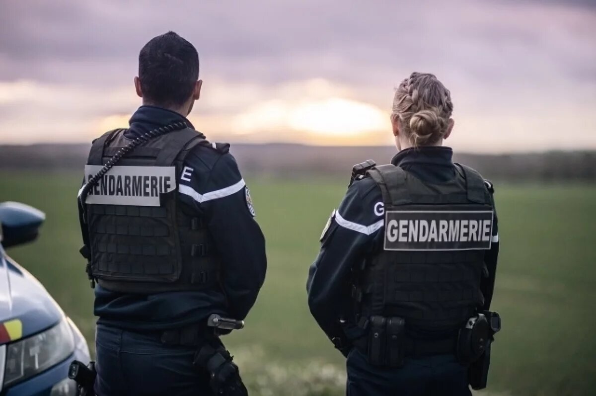    Во Франции число сожжённых автомобилей за новогоднюю ночь выросло до 1173