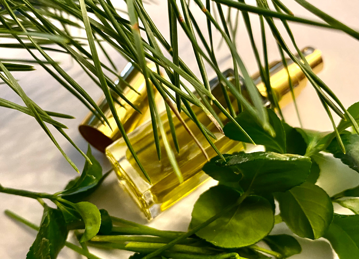 (фото из личного архива автора 🤳)