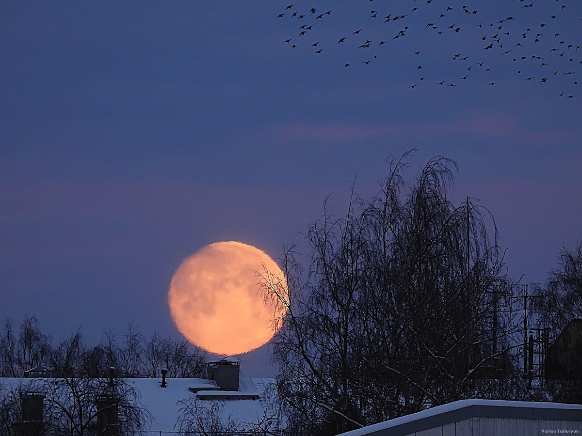    Вартан Цатурян / ВК