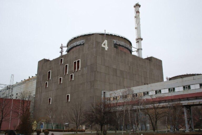    Фото: Росгвардия Анастасия Аржевитина