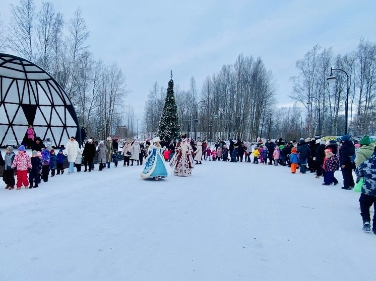    Фото: пресс-служба администрации Выборгского района.