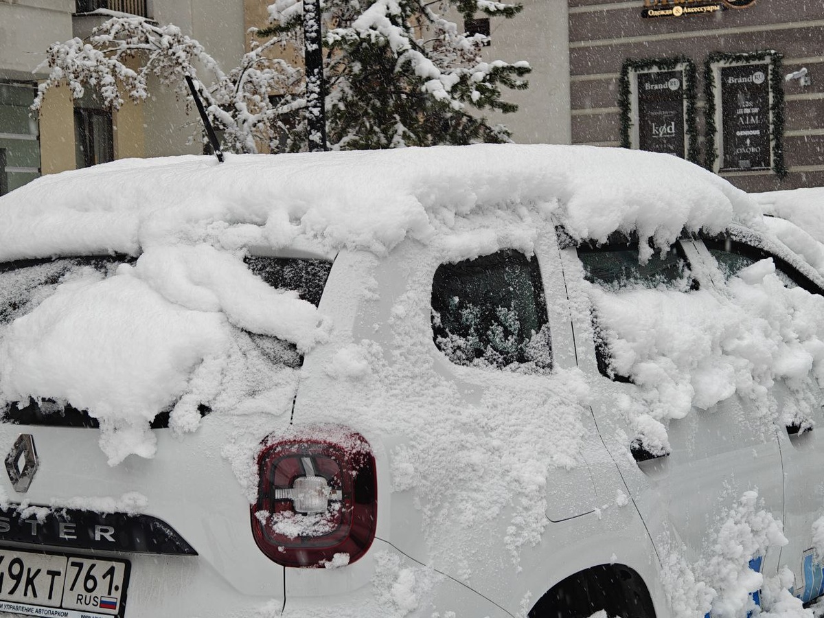    Фото: Юрий Серебренников/BFM Кубань