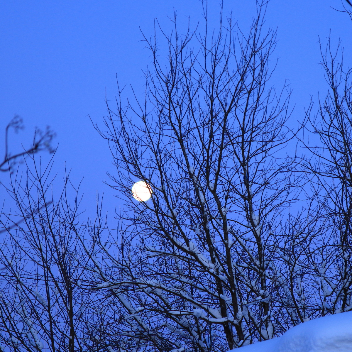 фото автора 02.01.2026г