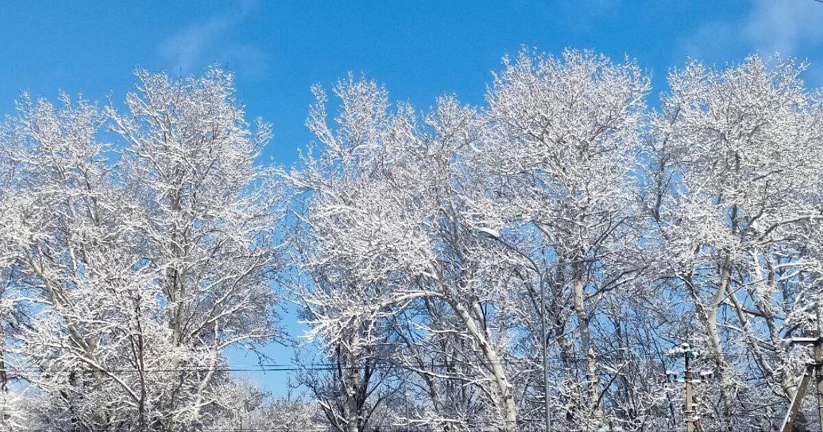 Фото: издание «Утренний Юг»