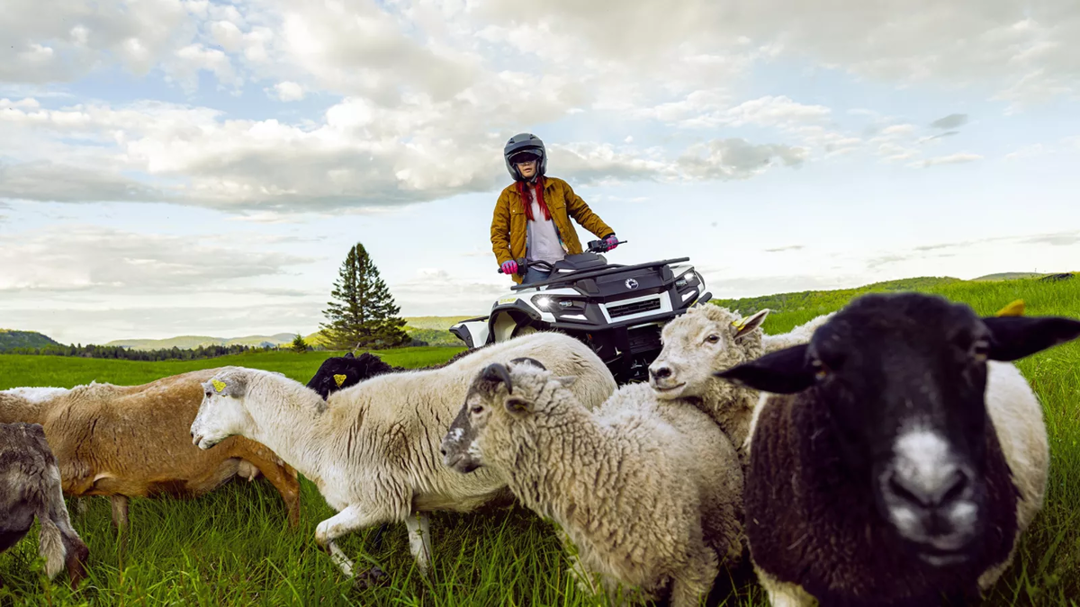 Экологично и тихо, барашки не ждали.