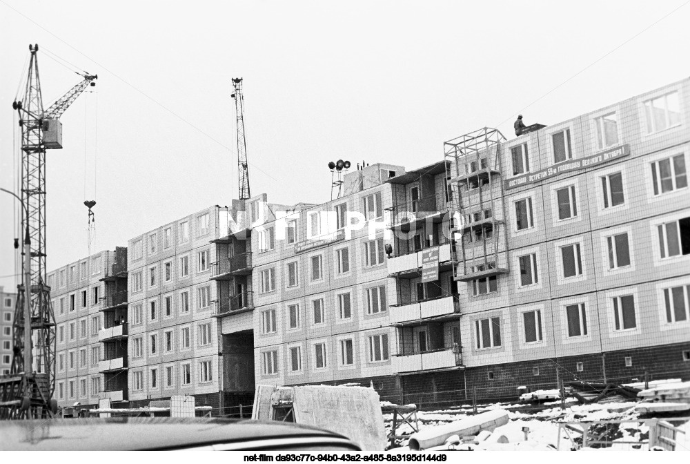 Фото из интернета.