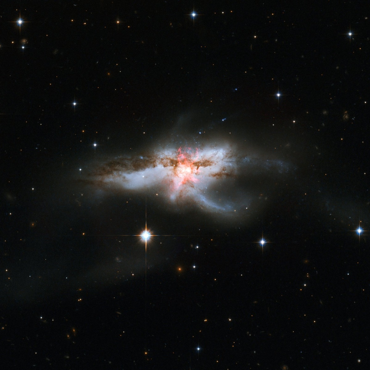    Галактика Морская Звезда (NGC 6240)