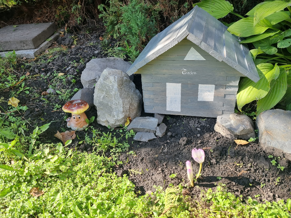 Домик для гномиков под туей.