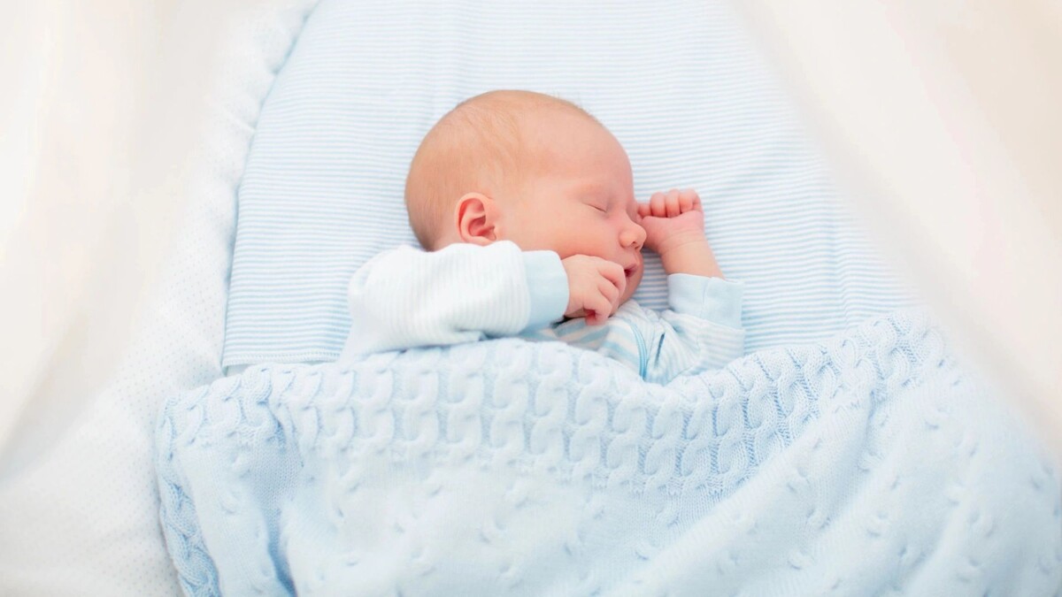    Фото: FamVeld/Shutterstock/Fotodom