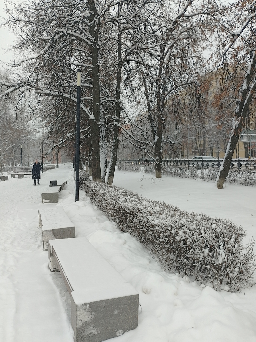 Фото автора.