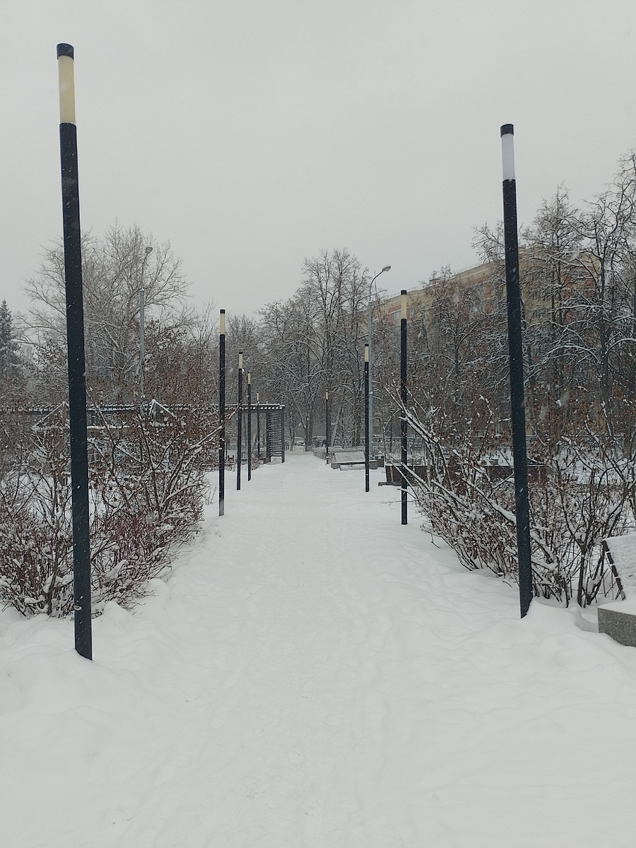 Фото автора.