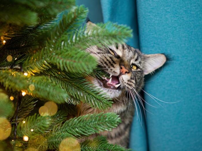 Обложка © Shutterstock / FOTODOM / Pickless