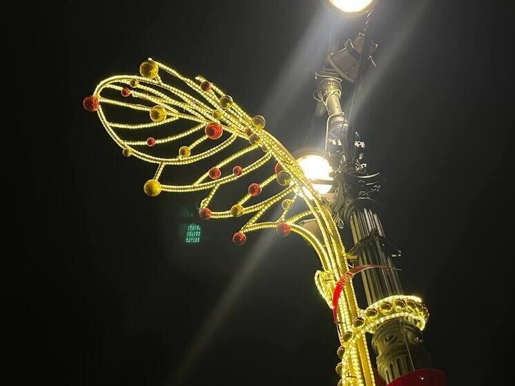     фото: архив мк в мурманске.