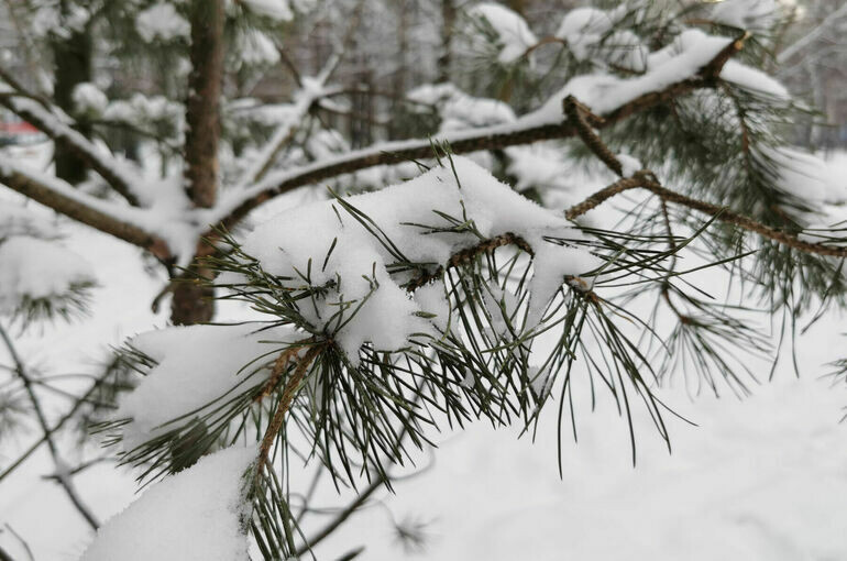   Тимур Ханов/«Парламентская газета»