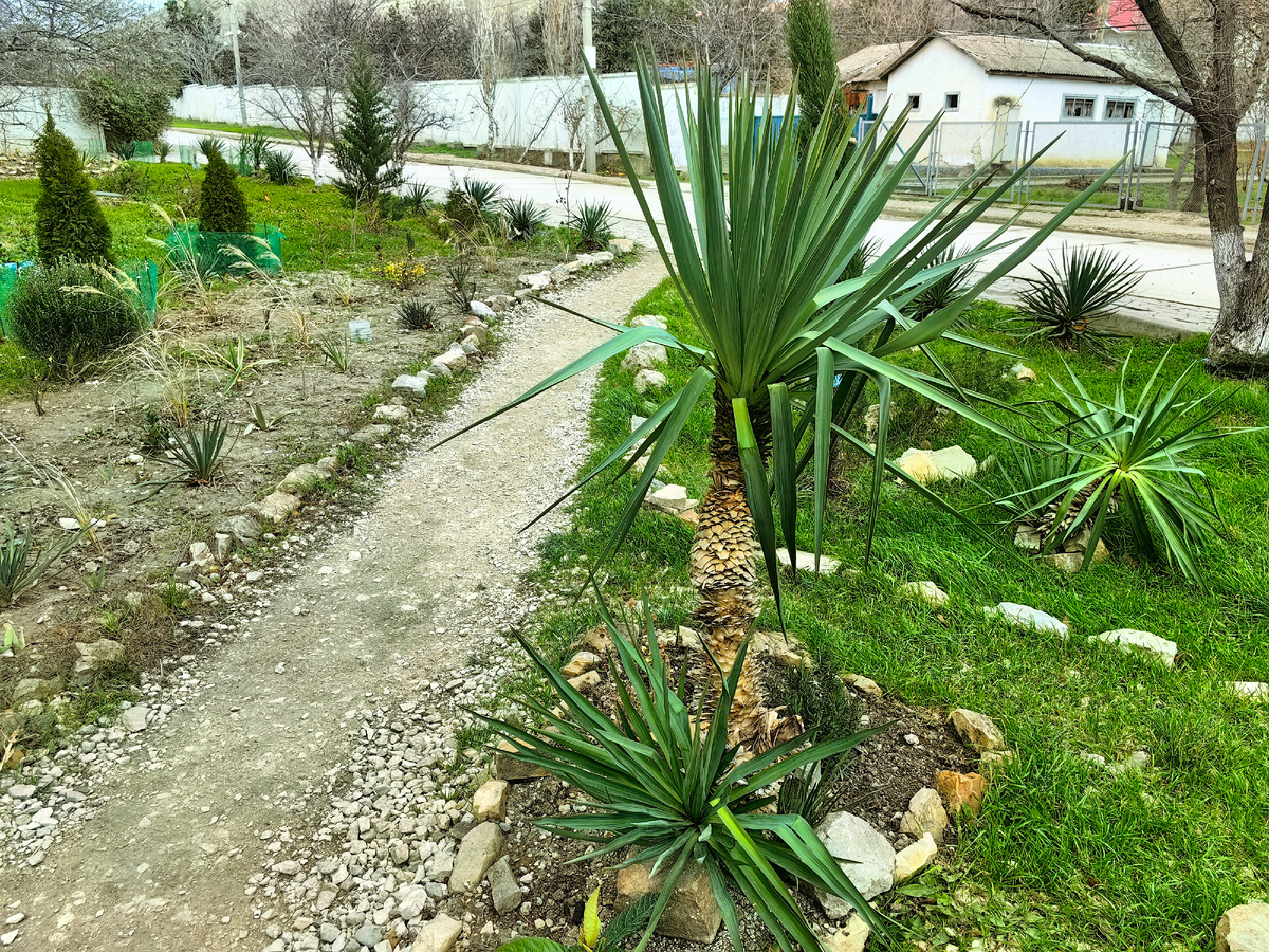 Сегодня. Фото автора канала