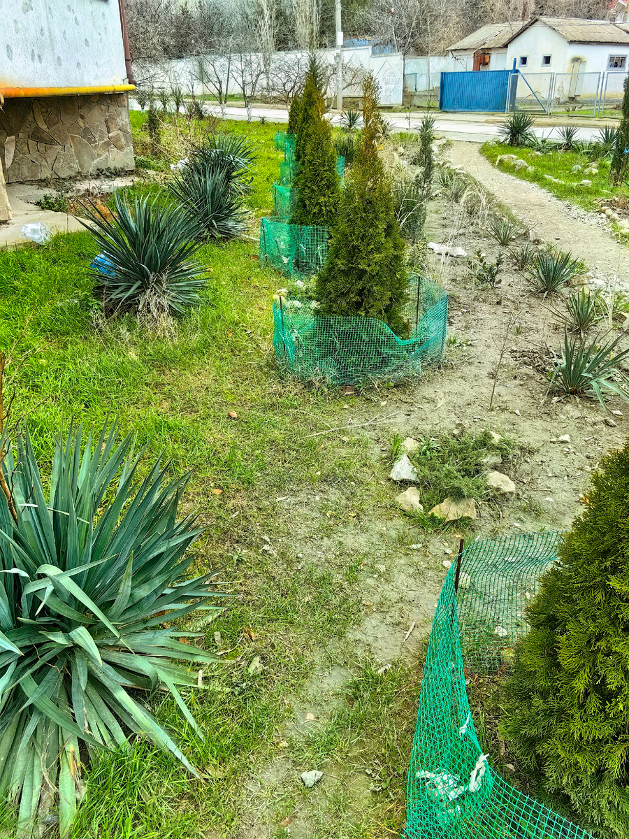 Сегодня. Фото автора канала