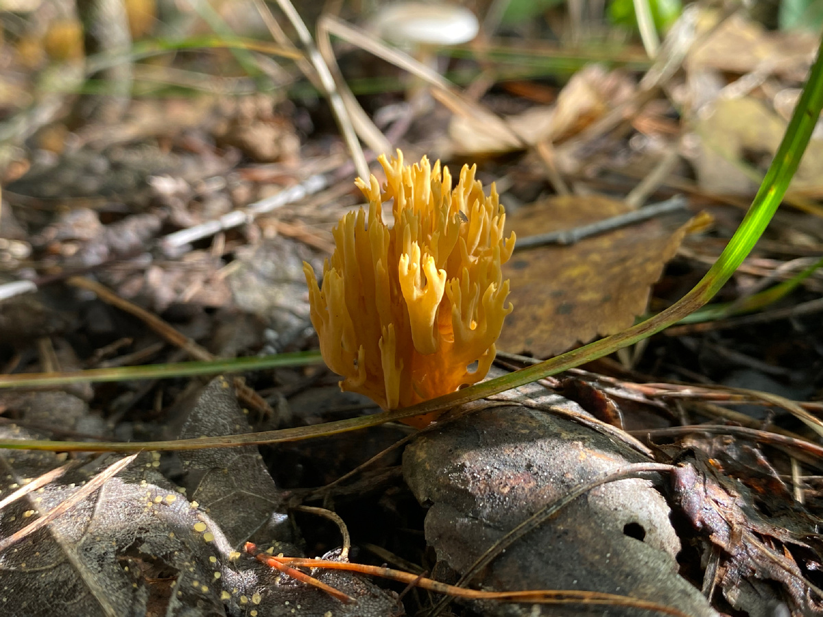 (фото из личного архива автора 🤳)