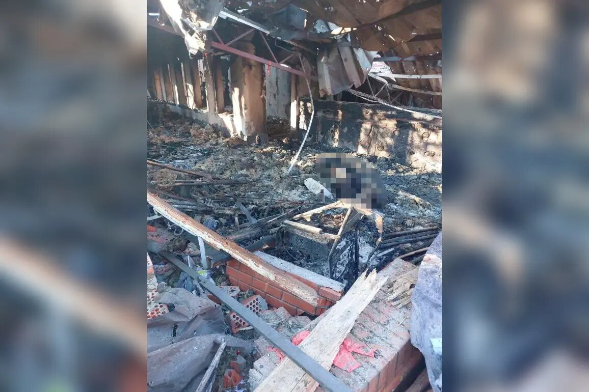    Фото: тг-канал Владимира Сальдо