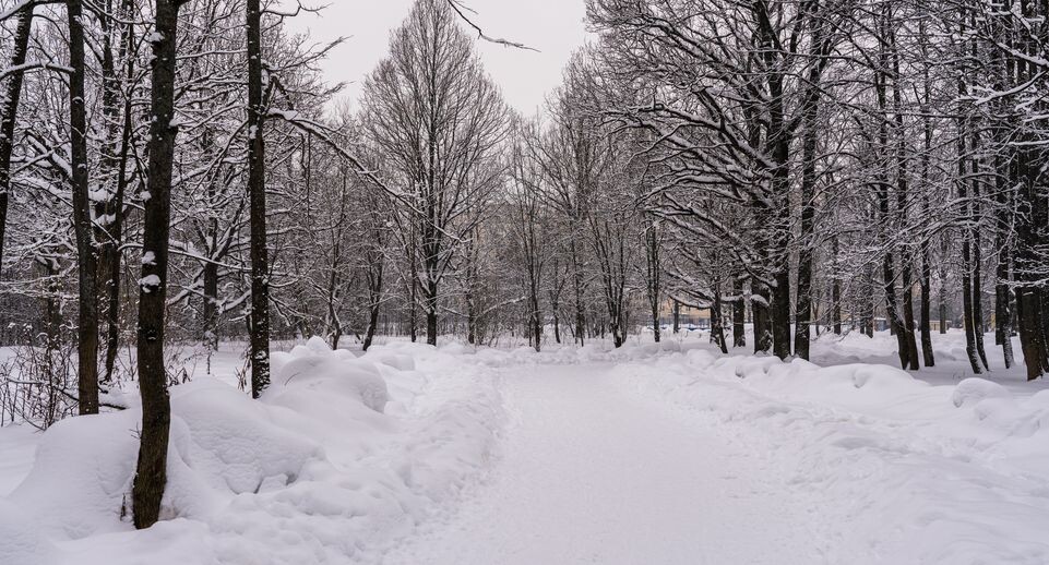    Медиасток.рф