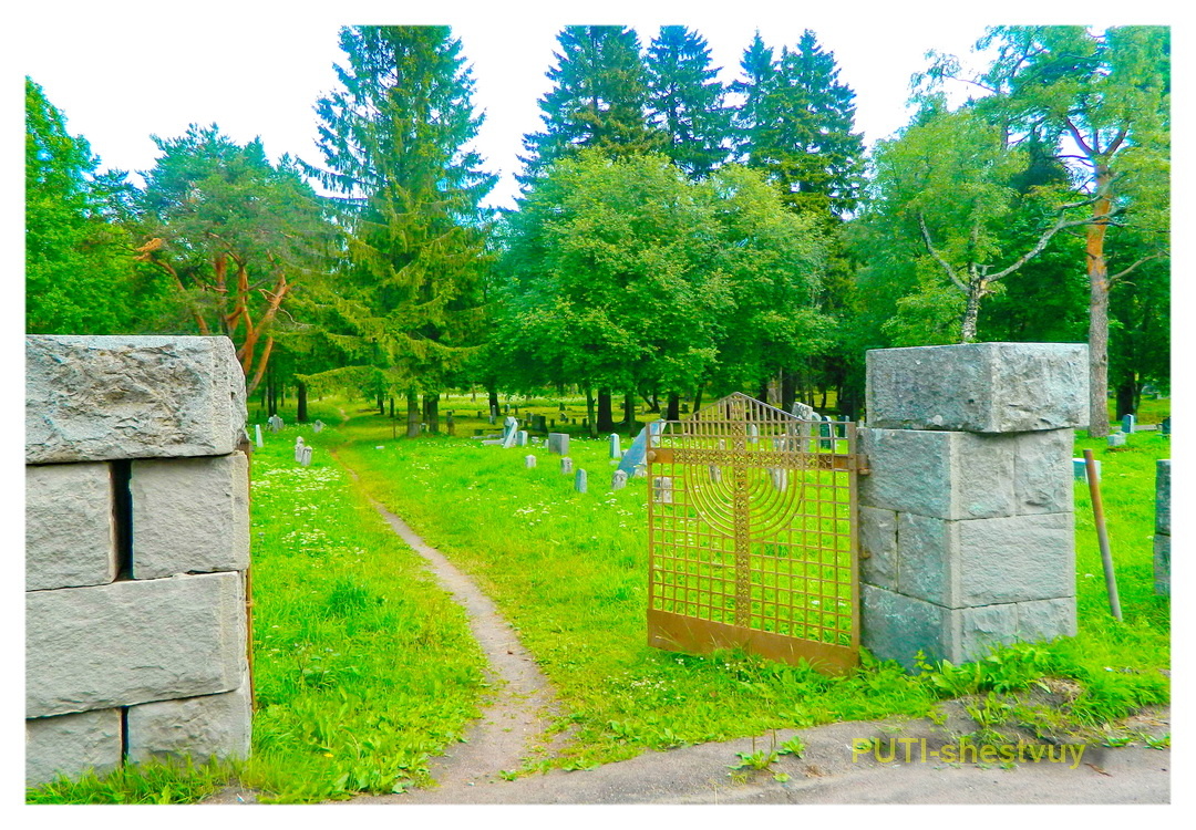 Финское кладбище в Сортавале (7 июля 2018 г.)