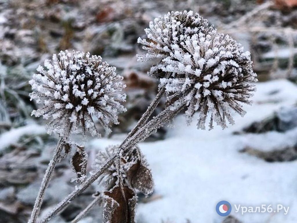    В Оренбургской области повышается атмосферное давление
