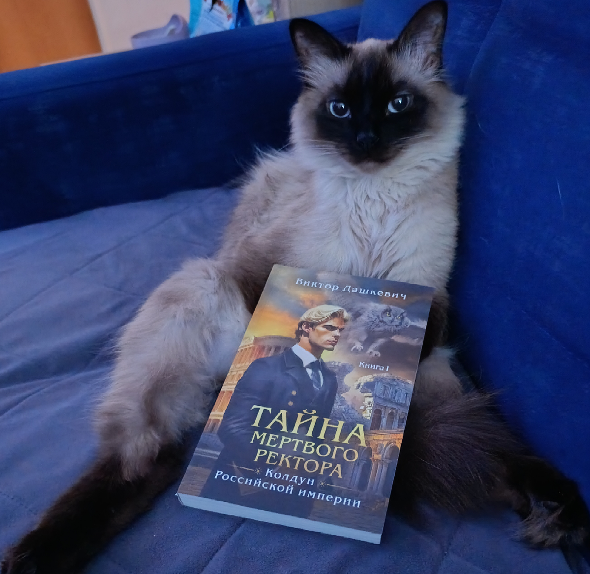 Сегодня очередную книгу о похождениях Аверина и Кузи представляет Джессика (ей вообще везёт на представление книг этой серии). 