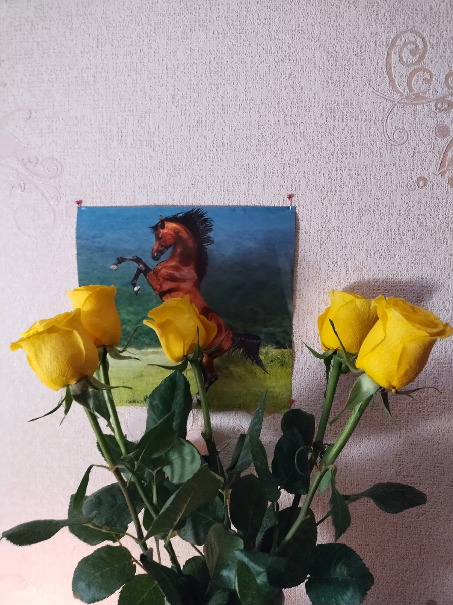 фото автора. Я их нашла 🤗 это знак свыше 💯 у меня всё ПОЛУЧИТЬСЯ 💯 я СМОГУ 💯 Родная - только не сдавайся! двигайся вперёд ✊ 