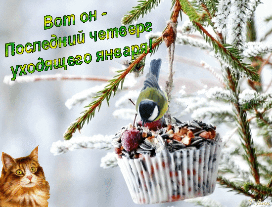 картинка с открытых источников сети интернет 