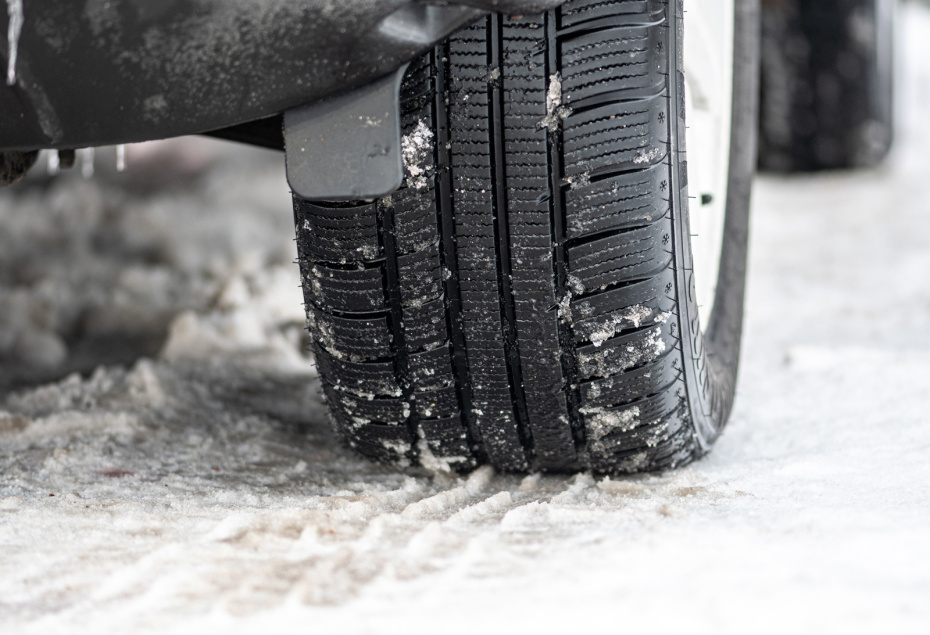    Shutterstock/FOTODOM