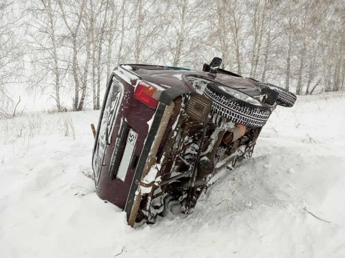    В Целинном округе нетрезвый водитель съехал с дороги, пострадал пассажир