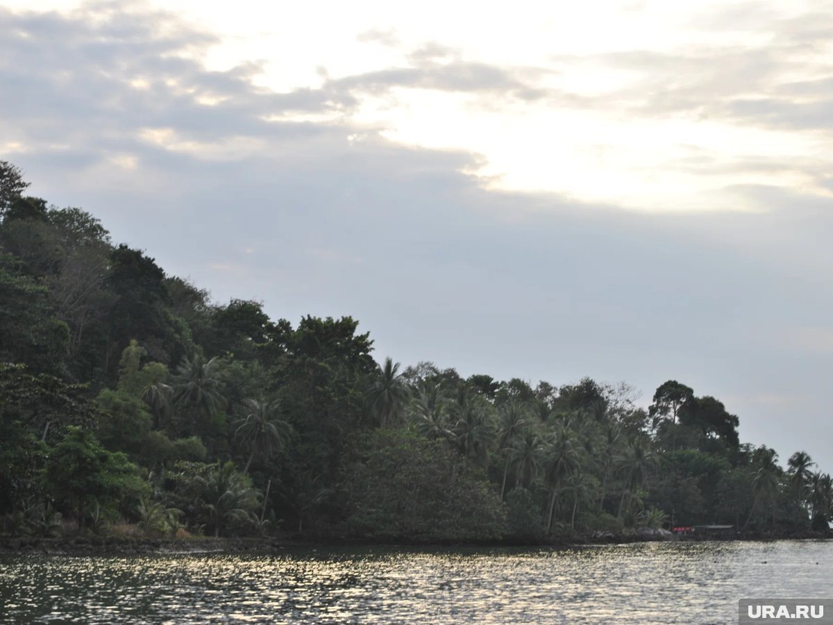     Эксперт рекомендует проверять оформленную страховку еще до поездки