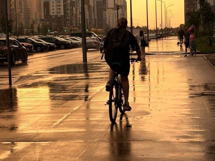     Фото: Архив МК в Питере.