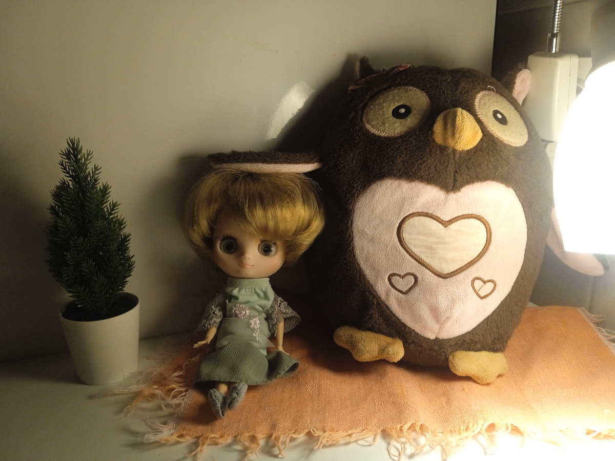 Софа и сова У встречают Новый год. Фото автора.