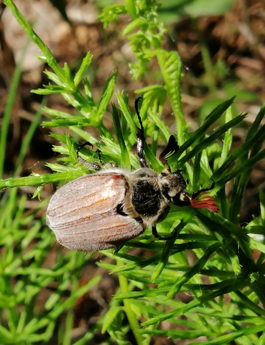 (фото из личного архива автора 🤳)
