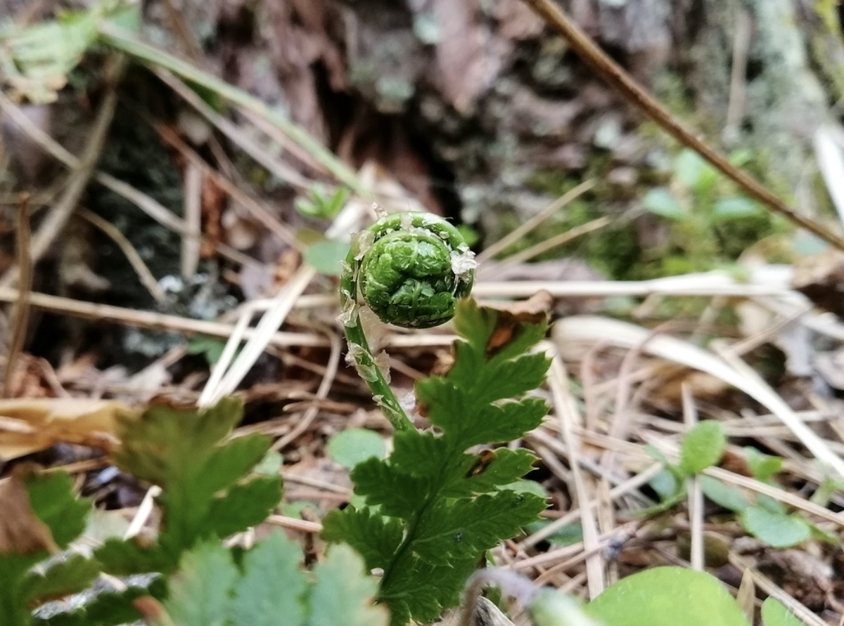 (фото из личного архива автора 🤳)