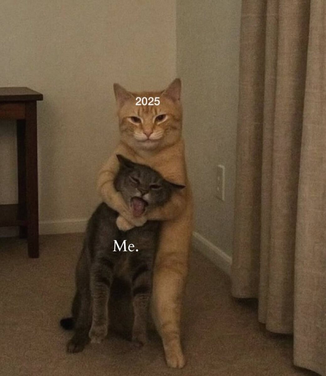 Таким был мой 2025. Фото из интернета.