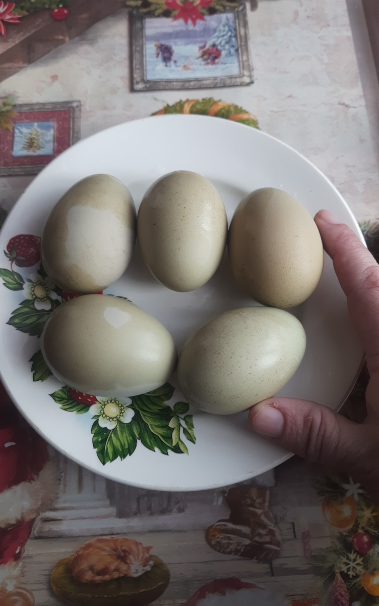 Фото из личного архива 