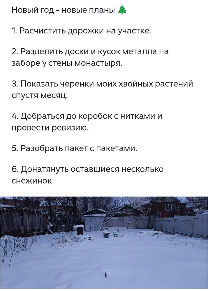 Ещё совсем без дорожек. Наверное через три дня снегопада будет так же, не видно уже проложенных ранее дорожек, как будто и не чистила до этого.