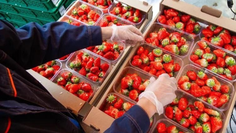      Фото: Администрация Предгорного округа