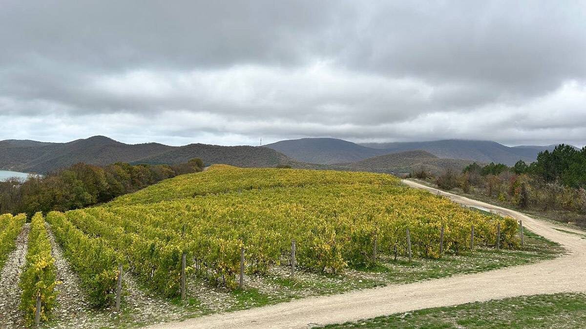    Фото: Анастасия Харламова / Вечерняя Москва