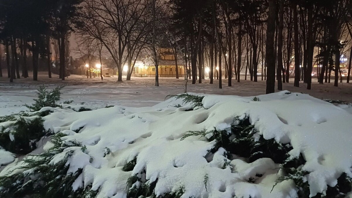    В районах Краснодарского края произошёл коллапс из-за снега: нет воды и света   kubanpress.ru