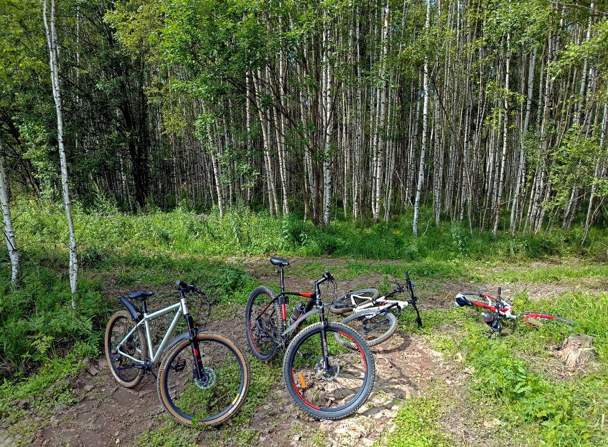 Наши велики