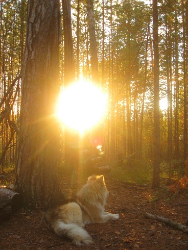 Бог молчит. Часть 29