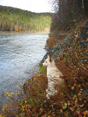 Бог молчит. Часть 30