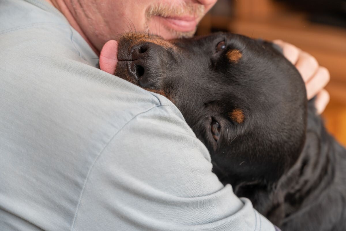 Собака кладёт голову на плечо хозяину 