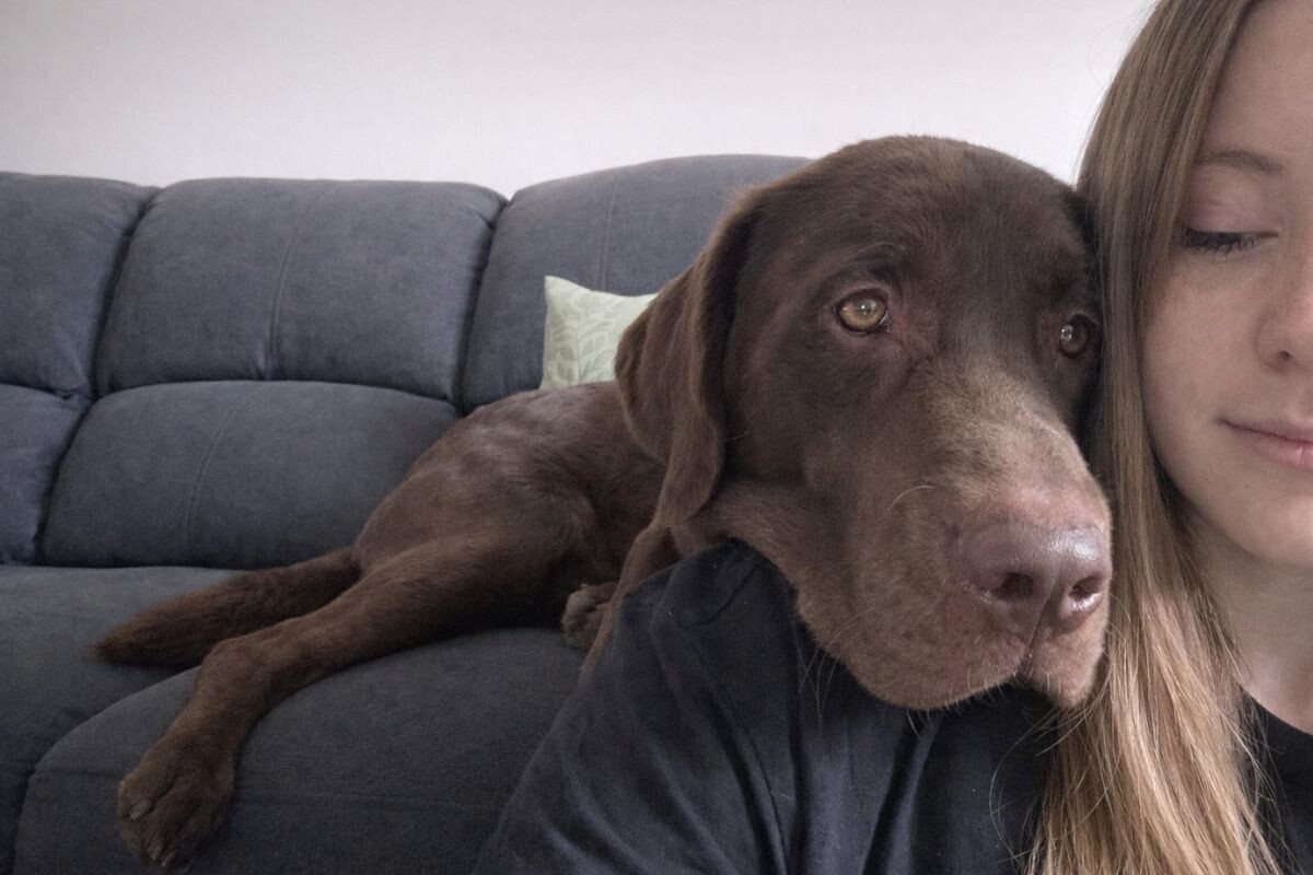 Почему собака кладёт голову на плечо хозяину 