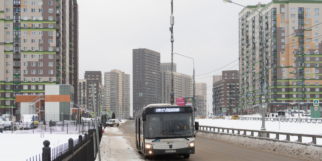 Москва и область - два разных мира? Разберём реальную ситуацию с транспортом