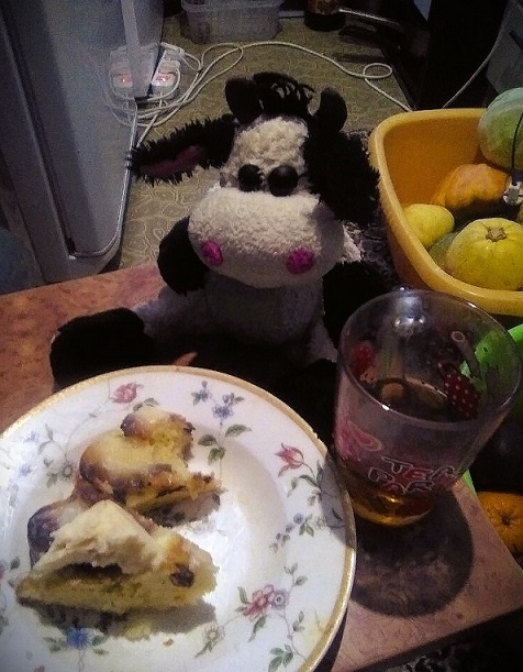 Фото автора. это Фима с Алиной встречали 2022ой. Внизу будет ссылка на один любопытный материал из старого блога. 